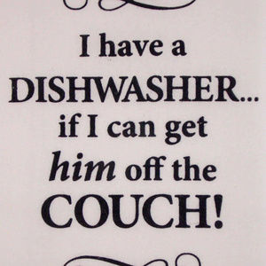 Dishwasher Dish Towel